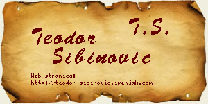 Teodor Sibinović vizit kartica